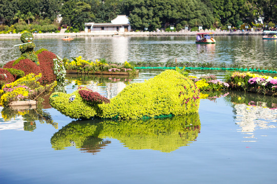 菊花