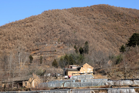 山村風(fēng)景
