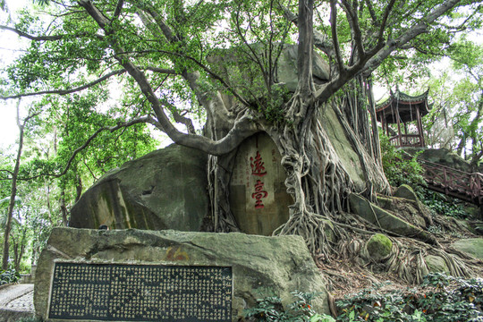 于山
