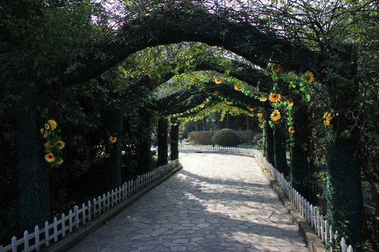 綠色通道