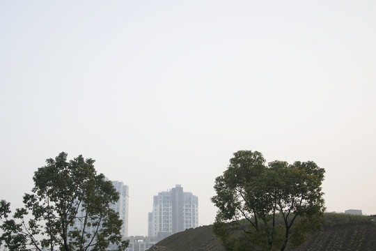 城市霧霾