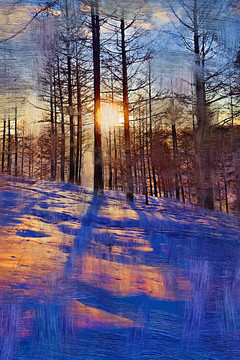 電腦油畫 雪林夕照