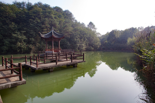 停子 魚塘