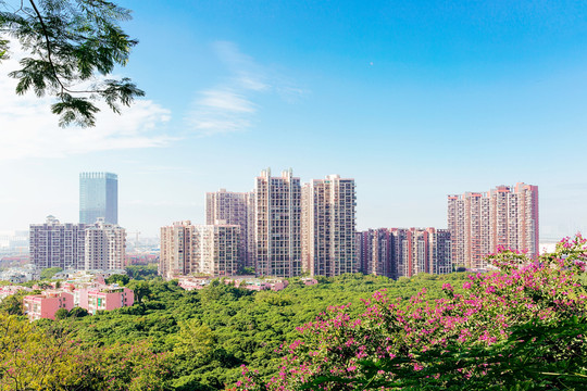 深圳風(fēng)光