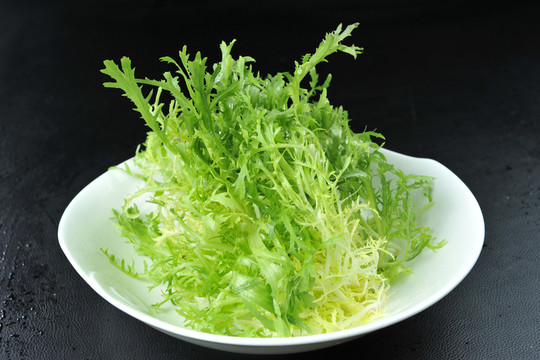 苦菊