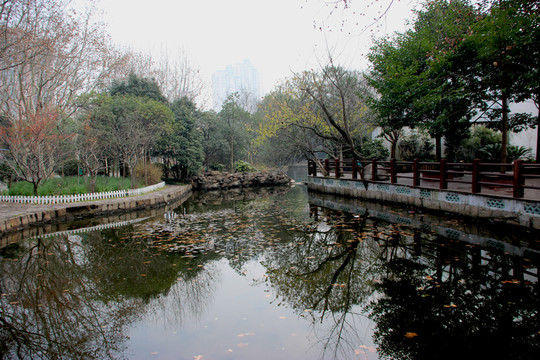 幽靜湖水