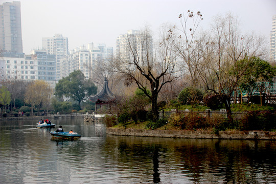 公園