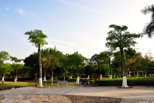 公園綠化