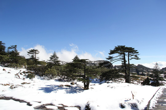 轎子雪山