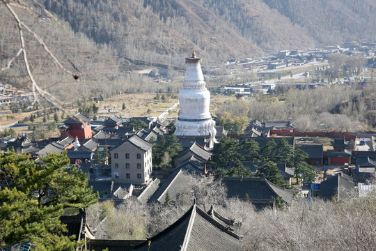鎮(zhèn)海寺 佛塔