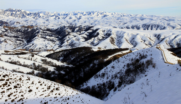 冬季雪景