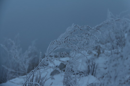 霧凇島