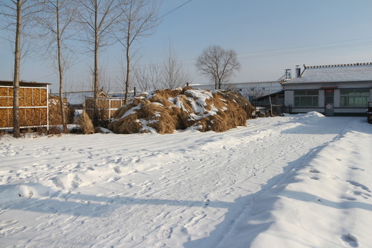 雪谷