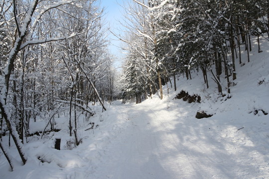 雪谷