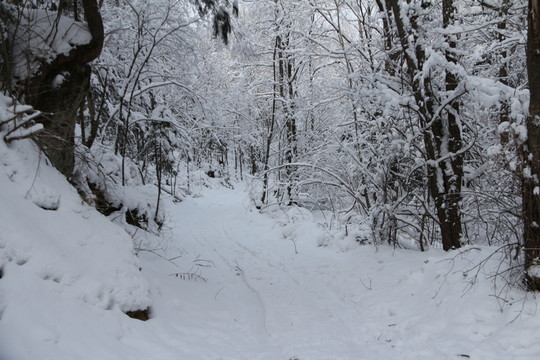 雪谷
