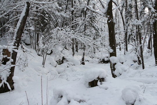 雪谷