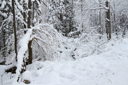 雪谷