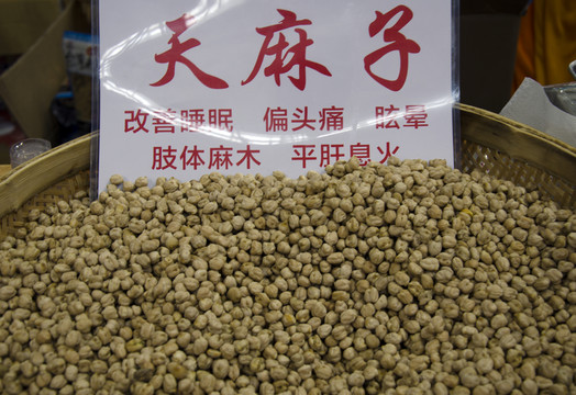 天麻子