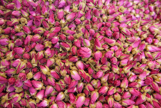 玫瑰花蕾