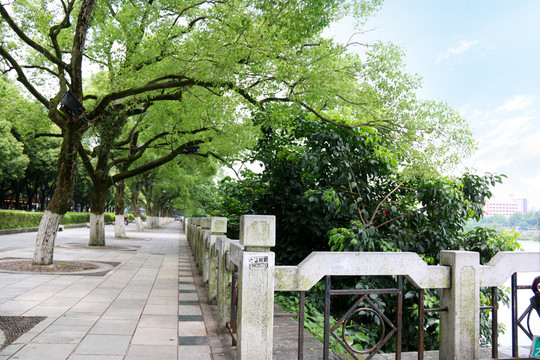 蔭道