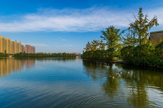 南湖公園