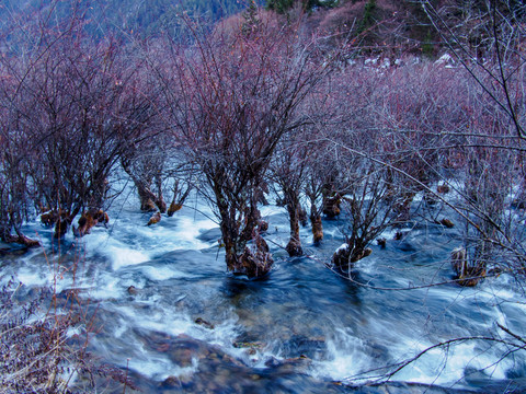 冬季九寨溝 流水