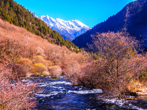 冬季九寨溝 層次分明