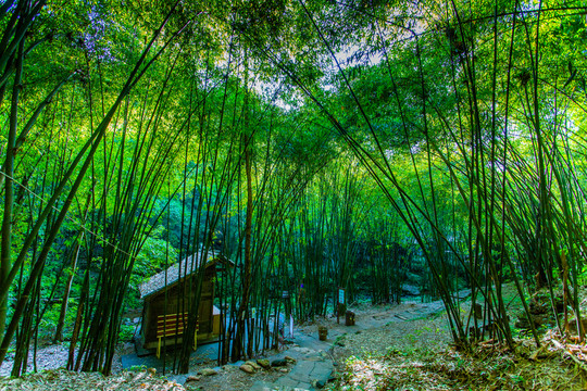平樂古鎮(zhèn)