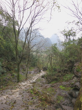 小路