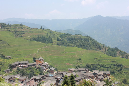 龍脊梯田