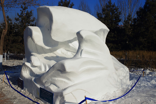 2016國(guó)際大學(xué)生雪雕大賽