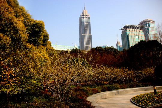 城市綠化