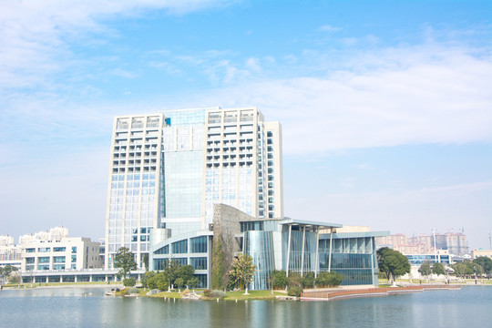 城市