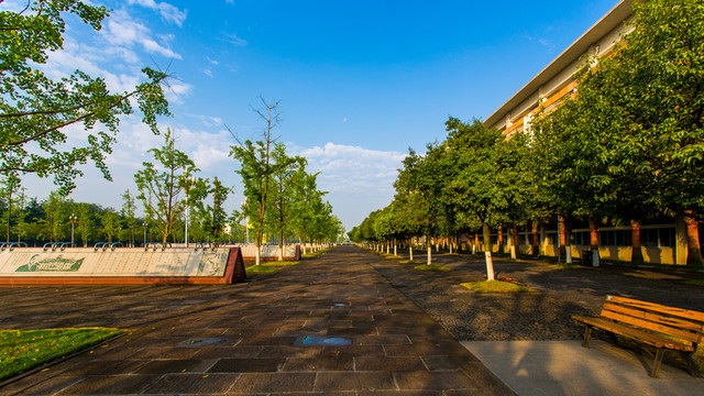 四川大學(xué)