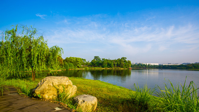 四川大學