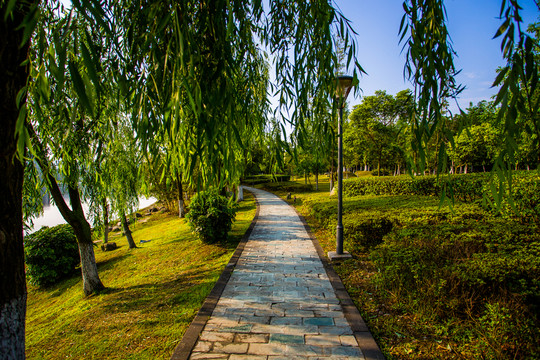 四川大學(xué)