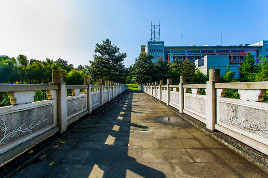 四川大學(xué)