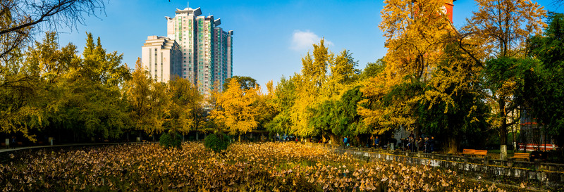 四川大學