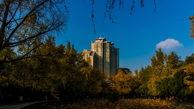 四川大學