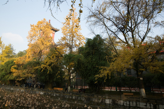 四川大學(xué)