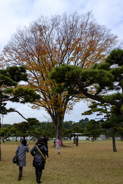 日本公園