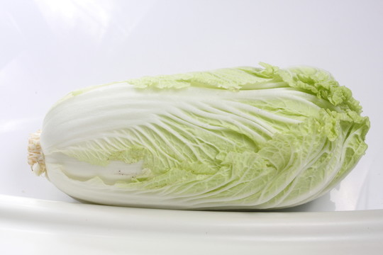 大白菜特寫