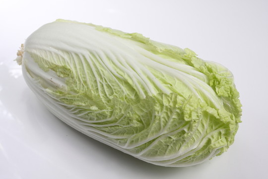 大白菜
