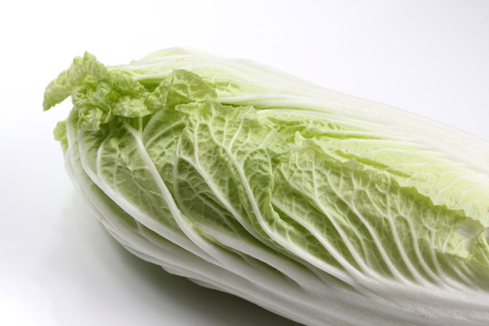 白菜實(shí)拍