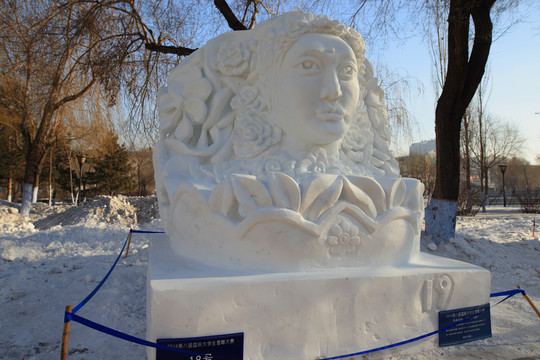 2016 國際大學(xué)生雪雕大賽