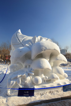 2016國際大學(xué)生雪雕大賽