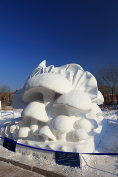 2016國際大學生雪雕大賽
