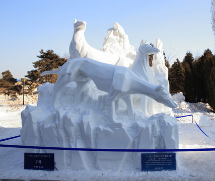 2016國(guó)際大學(xué)生雪雕大賽