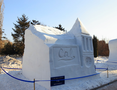 2016 國際大學(xué)生雪雕大賽