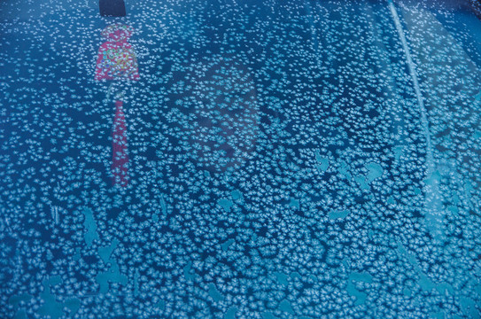 霜花